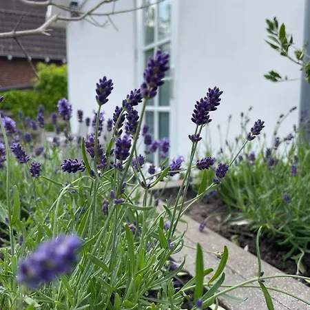 Aan De Wiericke Apartament Driebruggen