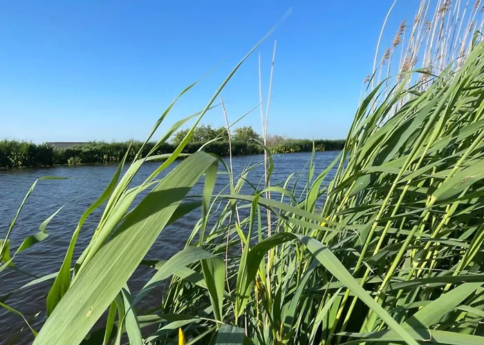 Appartement Aan De Wiericke *